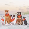 Adorable Dogs On Beach paint by numbers