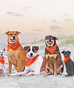 Adorable Dogs On Beach paint by numbers