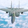 Aesthetic Fighter Jet 15E paint by numbers