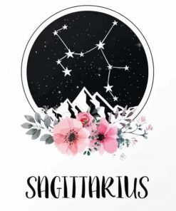 Aesthetic Sagittarius paint by numbers