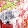 Aesthetic Spring Cat paint by numbers