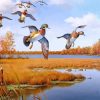 Aesthetic Waterfowl paint by numbers