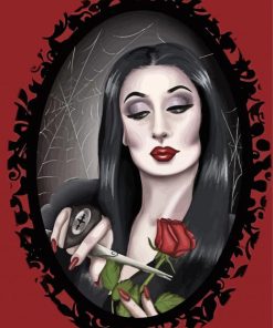 Aesthetic Morticia Illustration Art paint by numbers