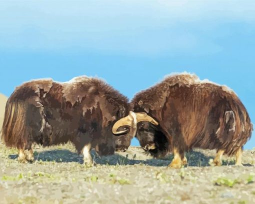 Aesthetic Muskox Northwestern Animals paint by numbers