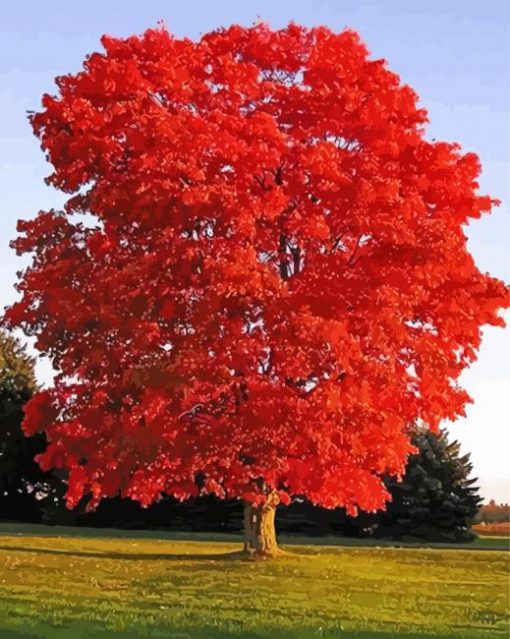 Aesthetic Red Trees paint by numbers