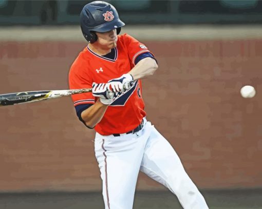 Auburn Tigers Baseballer paint by numbers