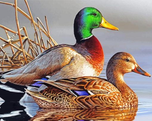 Beautiful Ducks Swimming paint by numbers