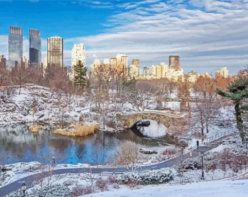 Beautiful Wintery Scene New York paint by numbers