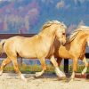 Beige Cob Horses paint by numbers