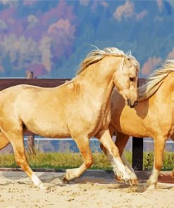 Beige Cob Horses paint by numbers