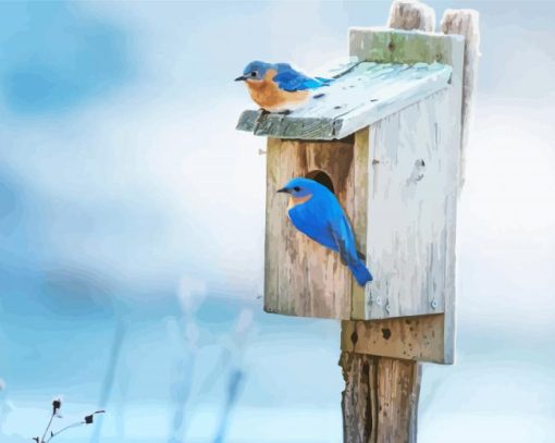Birds And Bird Houses paint by numbers