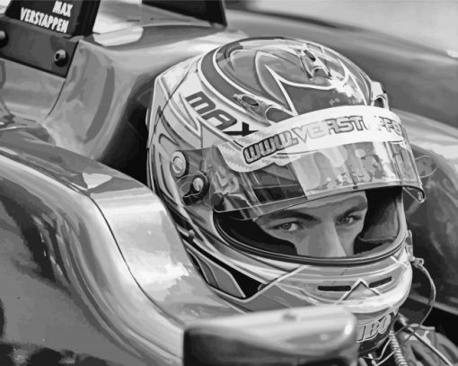 Black And White Max Verstappen paint by numbers