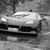 Black And White Gumpert Car paint by numbers