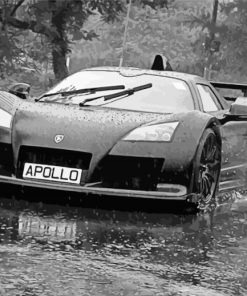 Black And White Gumpert Car paint by numbers