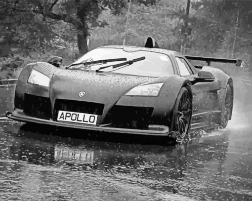 Black And White Gumpert Car paint by numbers