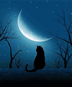 Black Cat Moon paint by numbers