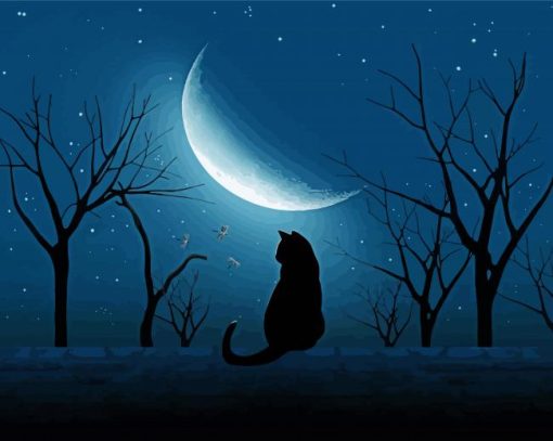 Black Cat Moon paint by numbers