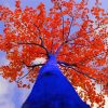 Blue And Red Tree paint by numbers