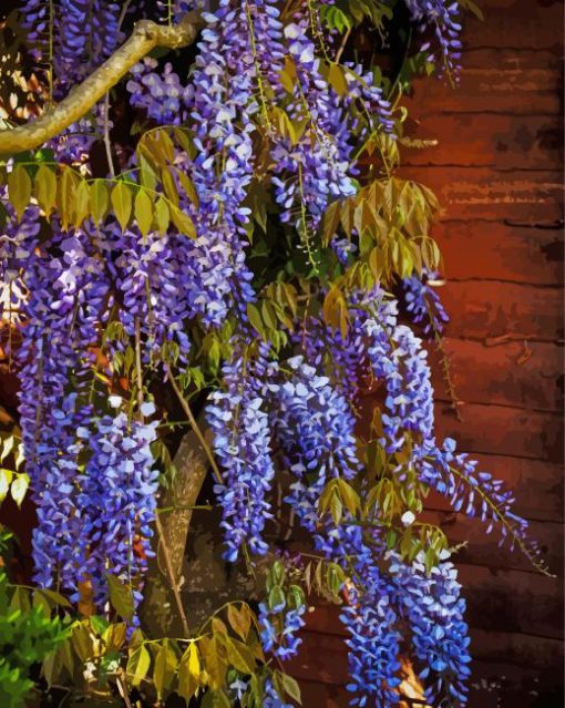 Blue Wisteria Plant paint by numbers