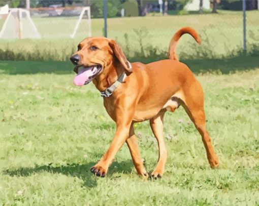 Brown Red Tick Coonhound paint by numbers