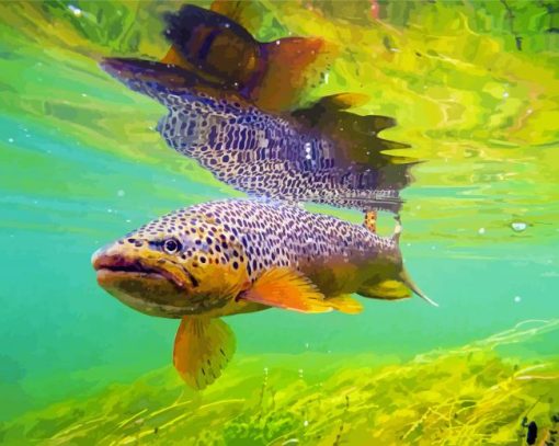 Brown Trout Under Sea paint by numbers