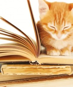 Cat With Book paint by numbers