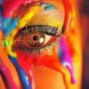 Colorful Lady Eyes paint by numbers