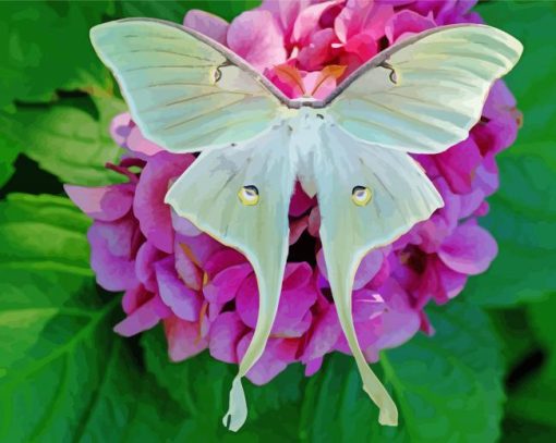 Cute Luna Moth paint by numbers