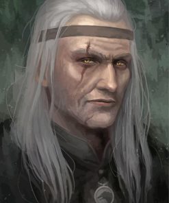 Dark Side Witcher Book Art paint by numbers