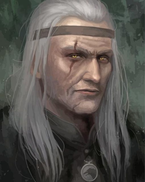 Dark Side Witcher Book Art paint by numbers