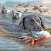 Duck Hunting paint by numbers