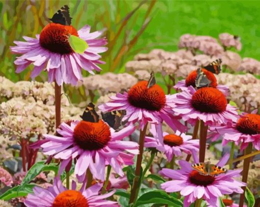 Echinacea Paint By Numbers