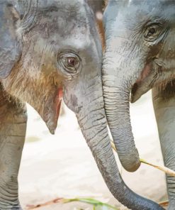 Elephants Smiling Animals paint by numbers