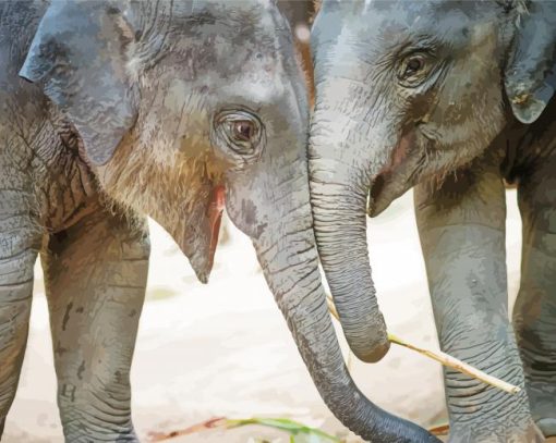 Elephants Smiling Animals paint by numbers