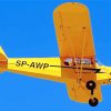 Flying Piper Cub paint by numbers