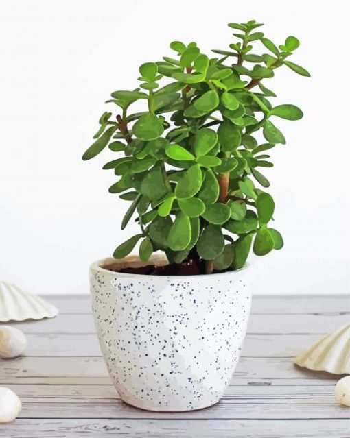 Green Jade Plant paint by numbers