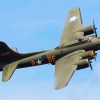 green Sally B Airplane paint by numbers