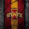 Iowa State Cyclones Basketball Logo paint by numbers