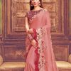 Pink Saree paint by numbers