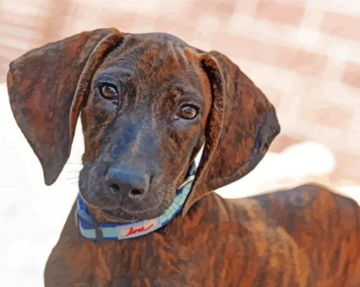 Plott Hound Dog paint by numbers