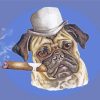 Pug With A Cigar Illustration paint by numbers