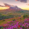 Purple Flowers Mt St Helens Paint By Numbers