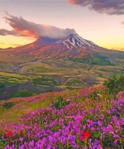 Purple Flowers Mt St Helens Paint By Numbers