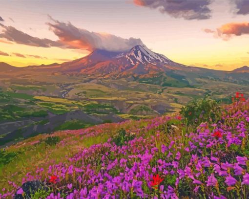 Purple Flowers Mt St Helens Paint By Numbers