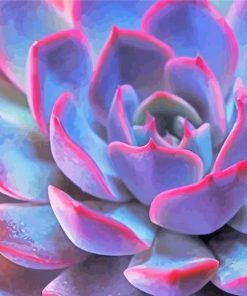 Purple Pink Succulent Echeveria paint by numbers