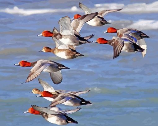 Redhead Birds Flying paint by numbers