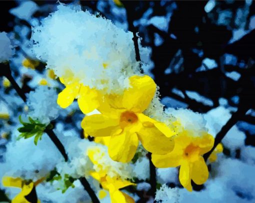 Snowy Winter Jasmine paint by numbers