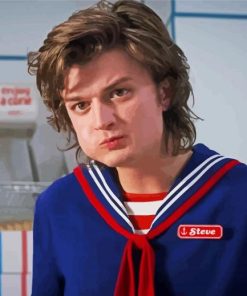 Steve Harrington Movie Character paint by numbers