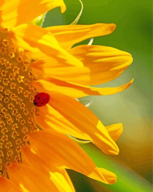 Sunflowers Ladybug Insect paint by numbers