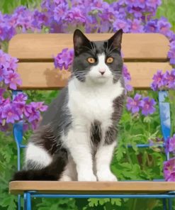 Tuxedo Cat And Purple Flowers paint by numbers